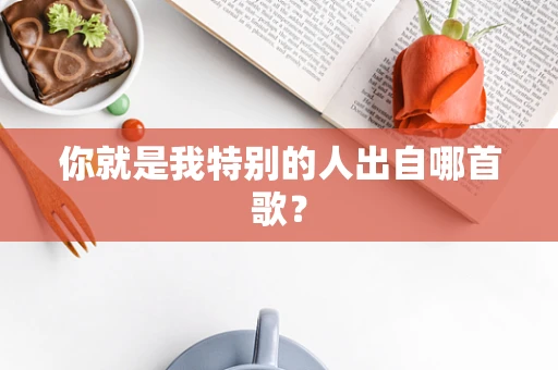 你就是我特别的人出自哪首歌？