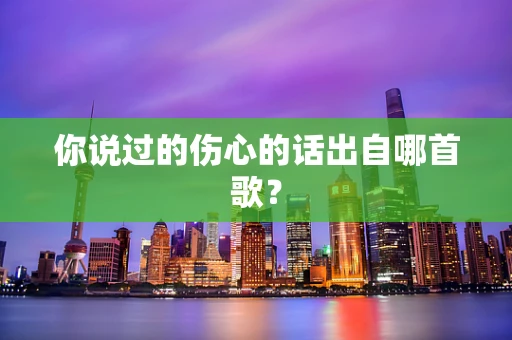你说过的伤心的话出自哪首歌？
