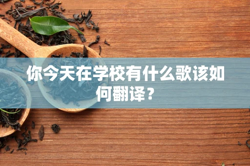 你今天在学校有什么歌该如何翻译？