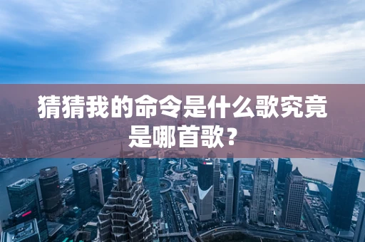 猜猜我的命令是什么歌究竟是哪首歌？