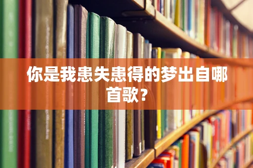 你是我患失患得的梦出自哪首歌？