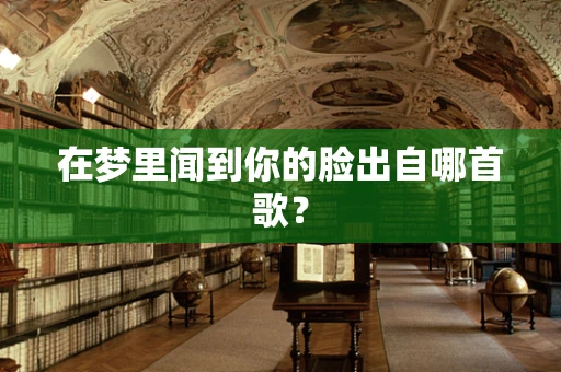 在梦里闻到你的脸出自哪首歌？