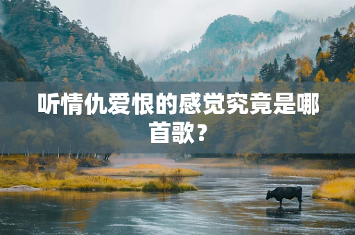 听情仇爱恨的感觉究竟是哪首歌？