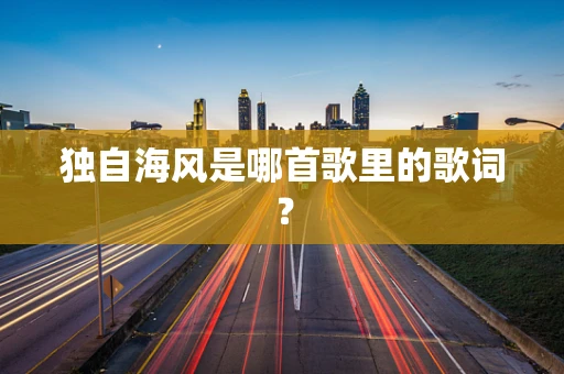 独自海风是哪首歌里的歌词？