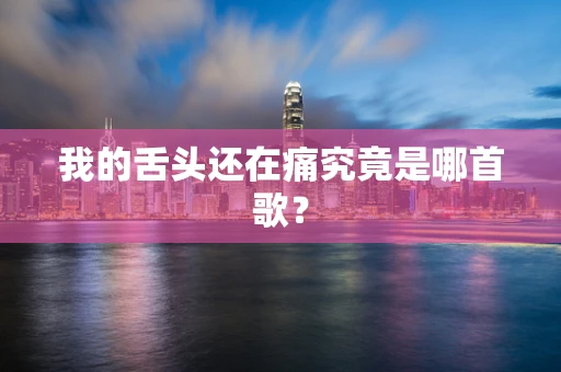 我的舌头还在痛究竟是哪首歌？