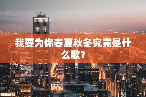 我要为你春夏秋冬究竟是什么歌？