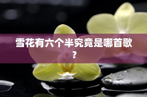 雪花有六个半究竟是哪首歌？