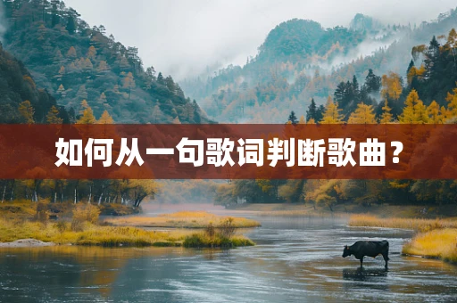 如何从一句歌词判断歌曲？