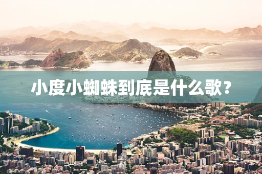 小度小蜘蛛到底是什么歌？