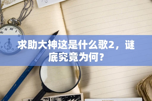 求助大神这是什么歌2，谜底究竟为何？
