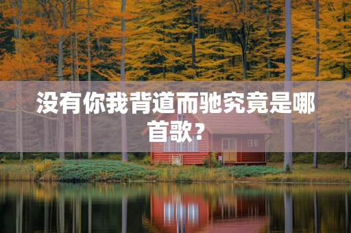 没有你我背道而驰究竟是哪首歌？