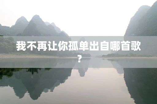 我不再让你孤单出自哪首歌？