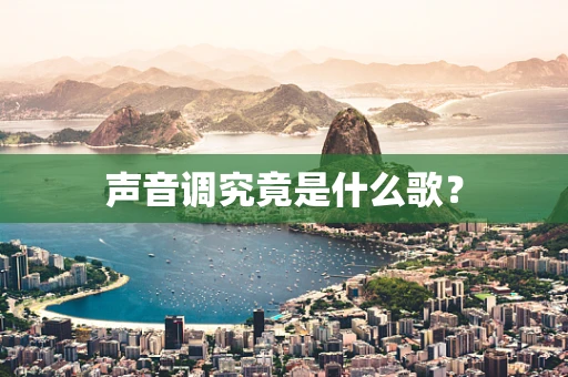 声音调究竟是什么歌？