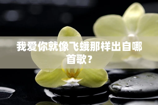 我爱你就像飞蛾那样出自哪首歌？