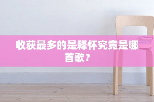 收获最多的是释怀究竟是哪首歌？