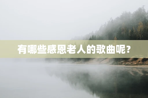 有哪些感恩老人的歌曲呢？