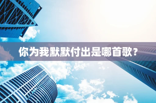 你为我默默付出是哪首歌？