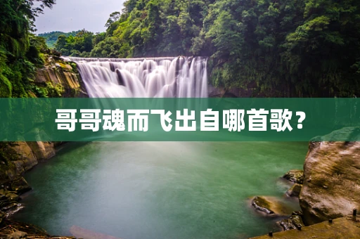 哥哥魂而飞出自哪首歌？