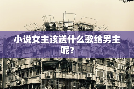 小说女主该送什么歌给男主呢？