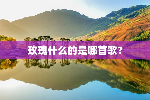 玫瑰什么的是哪首歌？