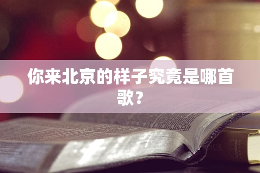 你来北京的样子究竟是哪首歌？