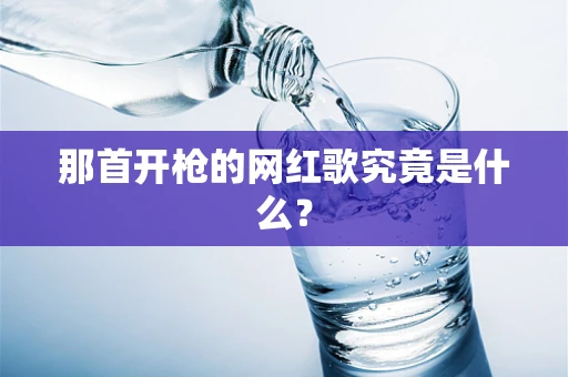 那首开枪的网红歌究竟是什么？