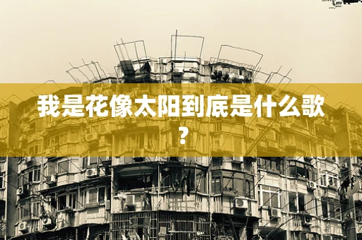 我是花像太阳到底是什么歌？
