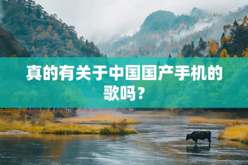 真的有关于中国国产手机的歌吗？