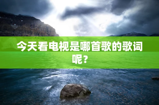今天看电视是哪首歌的歌词呢？