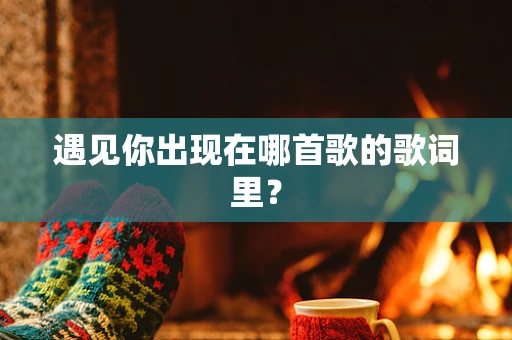 遇见你出现在哪首歌的歌词里？