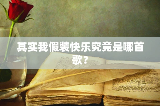 其实我假装快乐究竟是哪首歌？