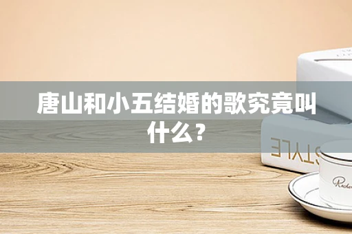 唐山和小五结婚的歌究竟叫什么？