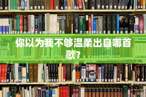 你以为我不够温柔出自哪首歌？