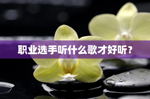 职业选手听什么歌才好听？