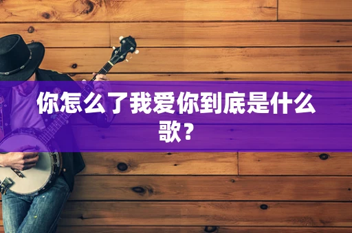 你怎么了我爱你到底是什么歌？