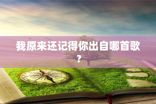 我原来还记得你出自哪首歌？