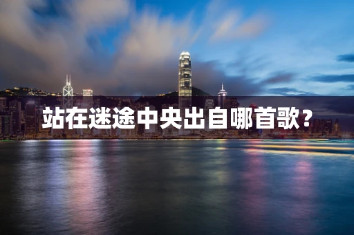站在迷途中央出自哪首歌？