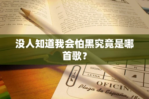没人知道我会怕黑究竟是哪首歌？