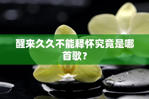 醒来久久不能释怀究竟是哪首歌？