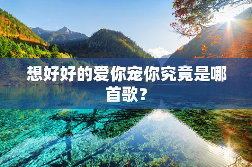 想好好的爱你宠你究竟是哪首歌？