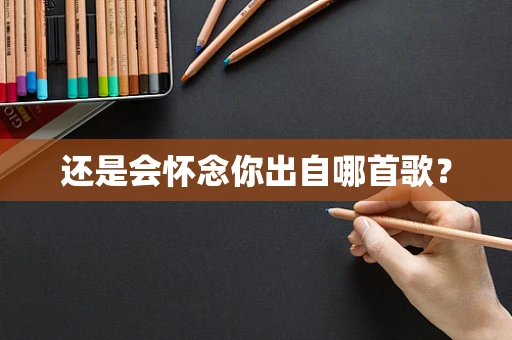 还是会怀念你出自哪首歌？