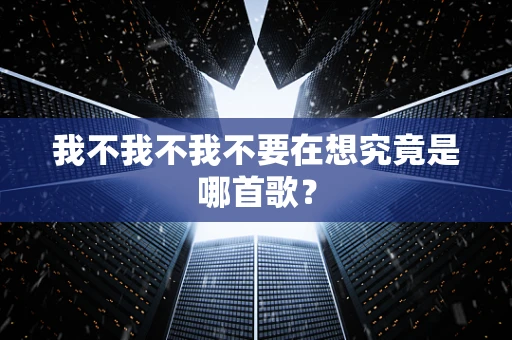 我不我不我不要在想究竟是哪首歌？
