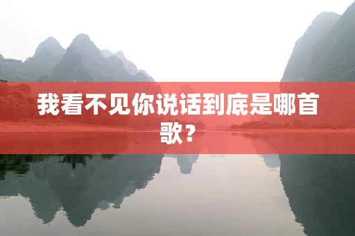 我看不见你说话到底是哪首歌？