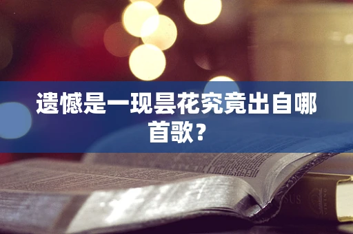 遗憾是一现昙花究竟出自哪首歌？