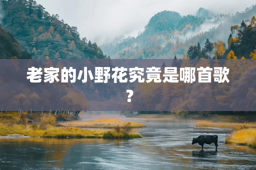 老家的小野花究竟是哪首歌？