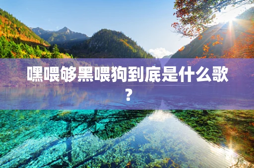 嘿喂够黑喂狗到底是什么歌？