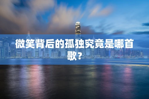 微笑背后的孤独究竟是哪首歌？