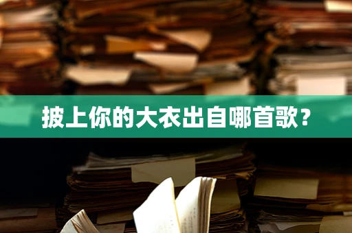 披上你的大衣出自哪首歌？