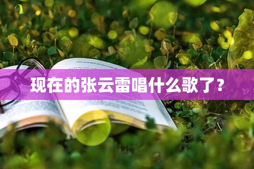 现在的张云雷唱什么歌了？