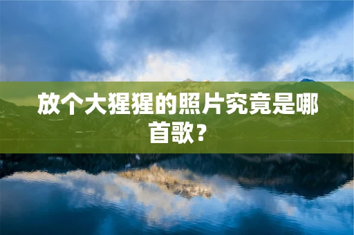 放个大猩猩的照片究竟是哪首歌？
